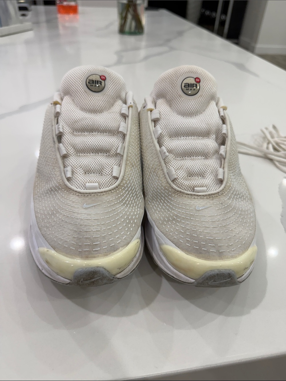 Nike Air Max Dn (1)